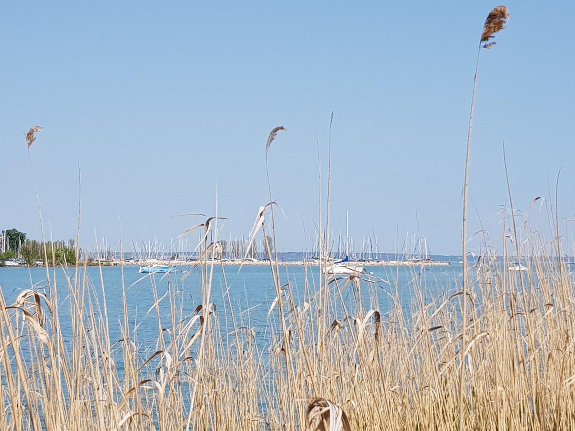 Coastline Balaton Apartment Alsoors Exterior foto